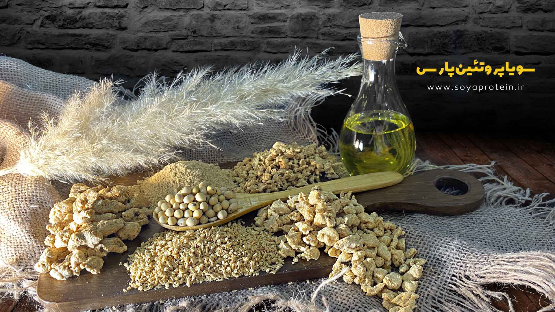 سویا پروتئین پارس